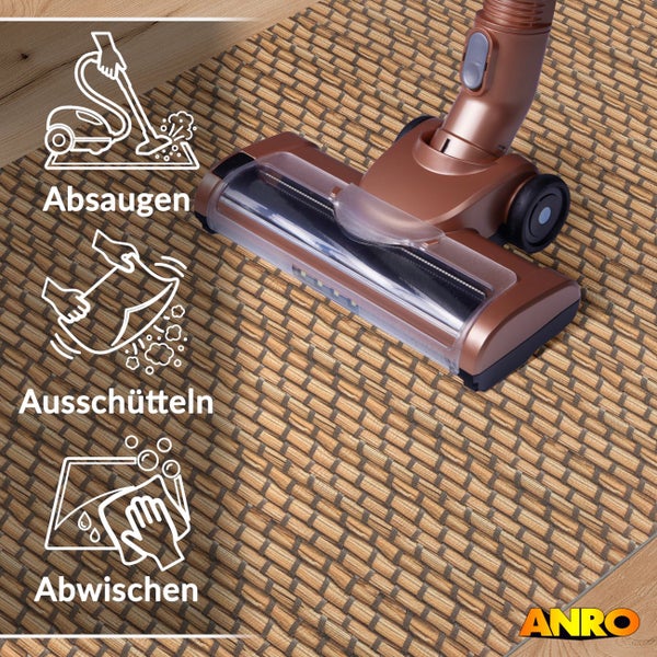 Staubsaugerdüse auf einem gewebten Teppich mit Symbolen für Absaugen, Ausschütteln und Abwischen. ANRO Logo.