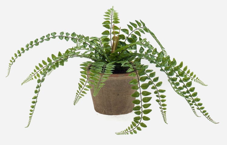 Nahaufnahme eines künstlichen Farns mit grünen Blättern an mehreren Stielen.