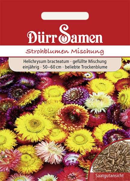 Samentüte mit Dürr Samen Logo für Strohblumen-Mischung Helichrysum bracteatum, bunte Blüten und Detailansicht der Samen.