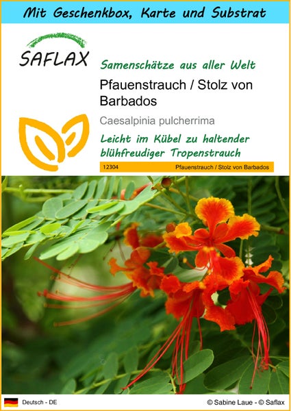 SAFLAX Geschenk Set - Pfauenstrauch / Stolz von Barbados - Caesalpinia pulcherrima - 10 Samen - Mit Geschenkbox, Versandaufkleber, Geschenkkarte und Anzuchtsubstrat