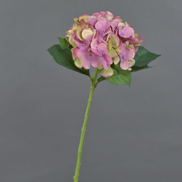 Künstliche Hortensie mit rosa-grünem Blütenkopf, grünen Blättern und langem Stiel.