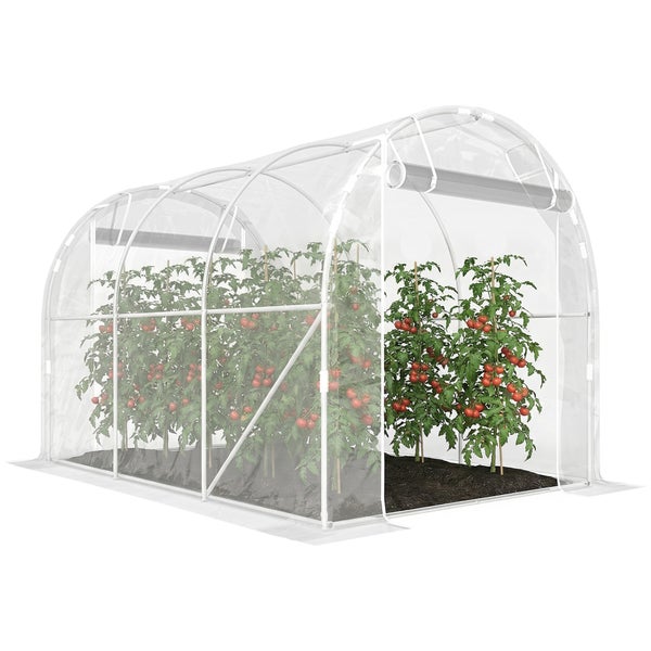 Transparentes Folien-Gewächshaus mit weißem Gestänge und Tomatenpflanzen im Inneren.