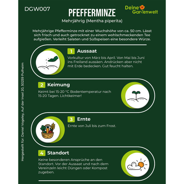 Infografik zur Pfefferminze mit Hinweisen zu Aussaat, Keimung, Ernte und Standort. Mehrjährig, Wuchshöhe circa 50 Zentimeter.
