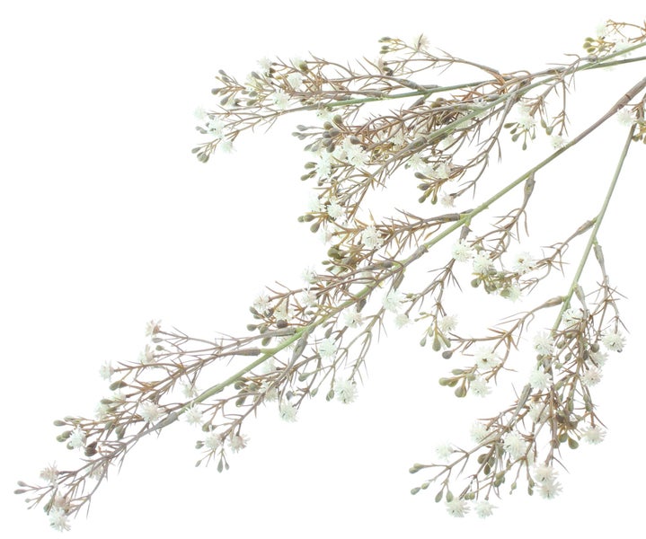 FRANK FLECHTWAREN | Kunstpflanze Schleierkraut, 2er Set, KUNSTSTOFF, L: 83 cm