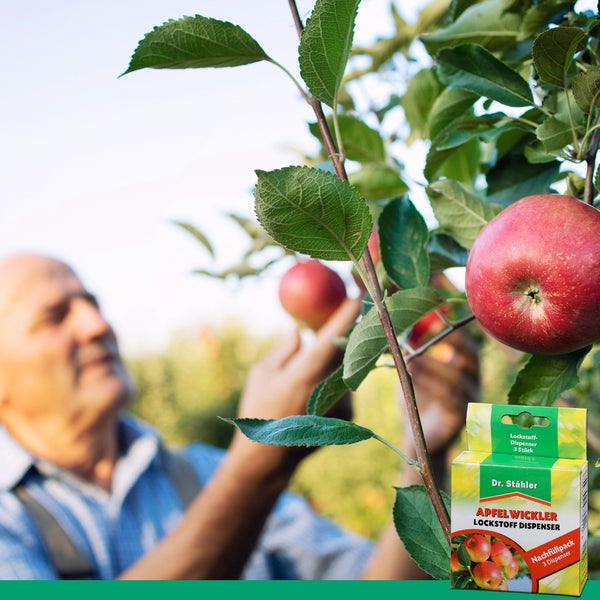 Apfelwickler Pheromon-Lockstoff Nachfüllpack – Zur Nachrüstung vorhandener Pheromonfallen – Effektive Bekämpfung des Apfelwicklers – Für Obstbäume im Garten & Erwerbsanbau