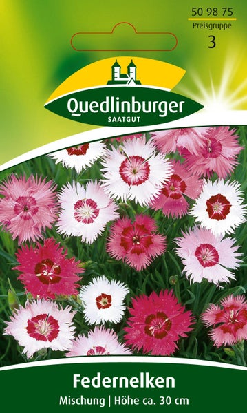 Dürr Samen Samentüte Echte Kamille mit Abbildung von Kamillenblüten und Saatgutansicht.