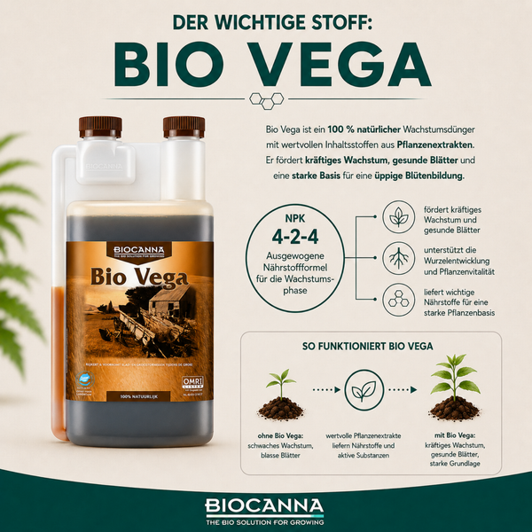 Biocanna Bio Vega organischer Wachstumsdünger NPK 4-2-4 in einer Dosierflasche zur Förderung von kräftigem Pflanzenwachstum und gesunden Blättern.