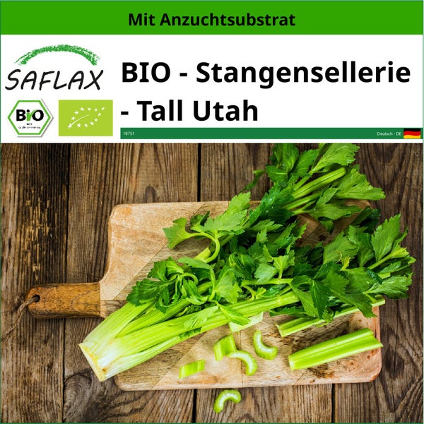 SAFLAX  - BIO - Stangensellerie - Tall Utah - Apium graveolens var. Dulce - 500 Samen - Mit keimfreiem Anzuchtsubstrat