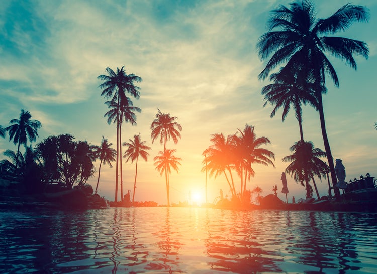 Fototapete mit tropischem Sonnenuntergang, Palmensilhouetten und Wasserfläche im Vordergrund unter einem weiten Himmel.