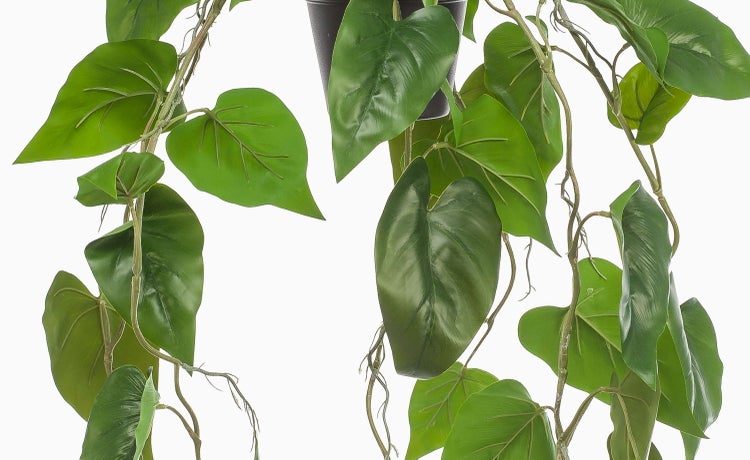 Künstliche Efeutute in einer Hängeampel mit Juteschnüren und schwarzem Topf.