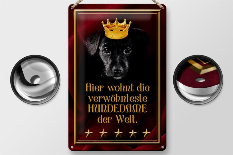 Blechschild Spruch 20x30cm hier wohnt Hundedame der Welt