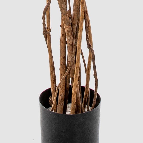 Detailansicht von dekorativen Holzstämmen in einem schwarzen Topf.