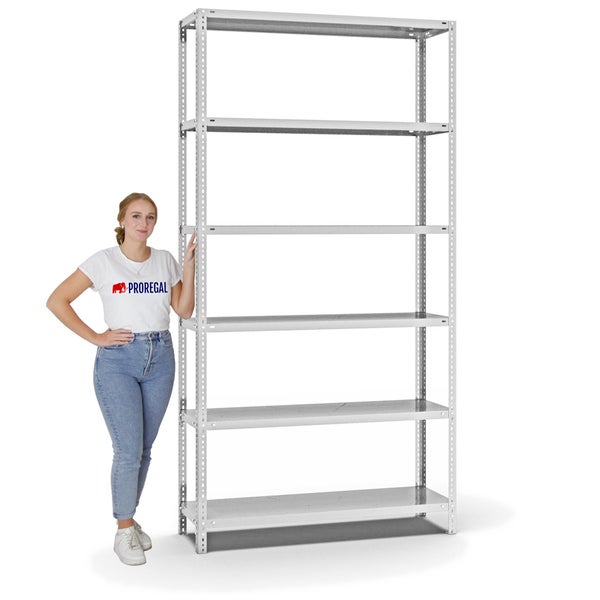PROREGAL Fachbodenregal Schraubsystem Heavy-Duty Grundregal HxBxT 250 x 130 x 40 cm 6 Ebenen Fachlast 350 kg Beidseitig Nutzbar Lichtgrau