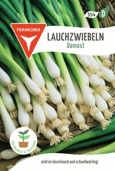 Lauchzwiebeln Damast Samenpackung
