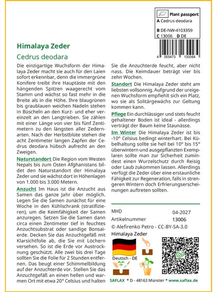 SAFLAX  - Himalaya Zeder - Cedrus deodara - 35 Samen