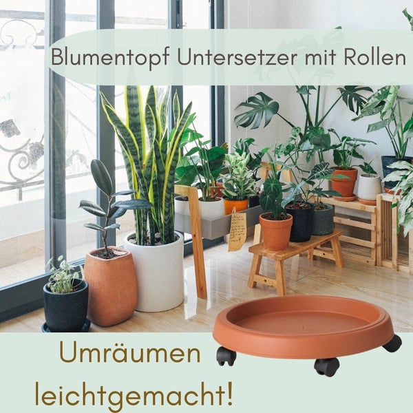 Pflanzenroller rund Rollbrett Pflanzen Blumentopf Untersetzer mit Rollen Blumenroller Pflanzenrolle Rolluntersetzer Wetterfest 25 cm