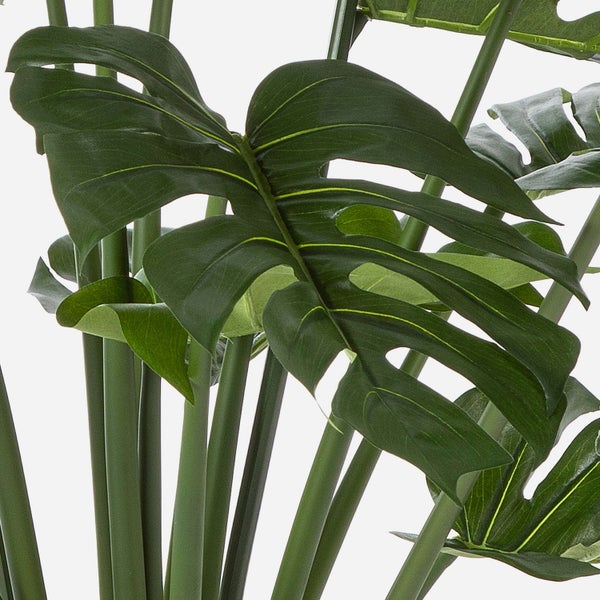 Künstliche Monstera Pflanze mit charakteristischen geschlitzten Blättern und Stielen in der Nahaufnahme.
