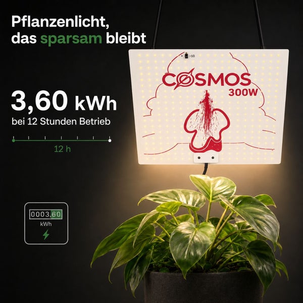 LED Pflanzenlicht mit Cosmos Logo und 300 Watt über einer Pflanze. Angabe von 3,60 Kilowattstunden Stromverbrauch bei 12 Stunden Betrieb.