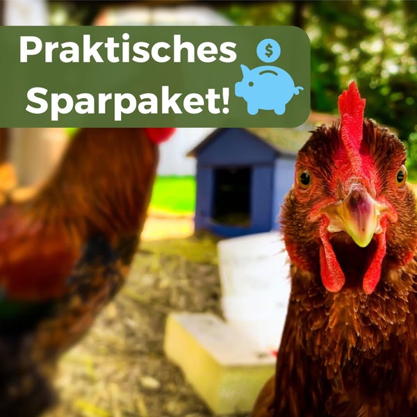 Praktisches Sparpaket mit Hühnern und Stall im Hintergrund