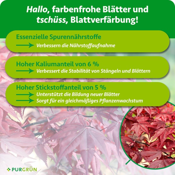 Infografik für Purgrün Dünger mit Angaben zu Spurennährstoffen, 6 Prozent Kalium für Stabilität und 5 Prozent Stickstoff für das Blattwachstum.