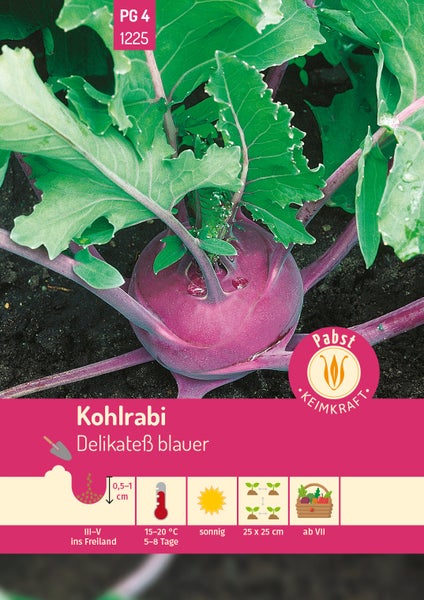 Samentüte für Kohlrabi Delikateß blauer mit Abbildung der Pflanze, Kultursymbolen für Aussaat, Standort, Abstand und Ernte. Pabst Keimkraft Logo.