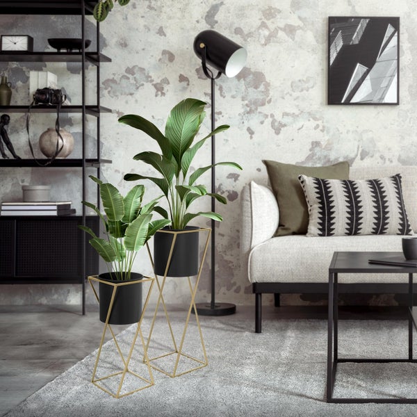 Zwei Zimmerpflanzen in schwarzen Pflanzentöpfen mit geometrischen goldfarbenen Metallständern in einem modernen Wohnzimmer.