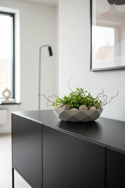 Moderne geometrische Schale mit Pflanzen und Steinen auf einem schwarzen Sideboard in einem hellen, minimalistischen Wohnzimmer.