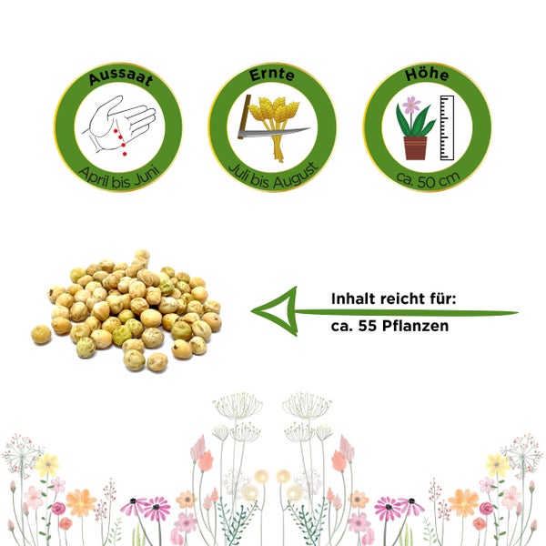 Aussaat April bis Juni, Ernte Juli bis August, Wuchshöhe circa 50 Zentimeter, Inhalt für circa 55 Pflanzen.