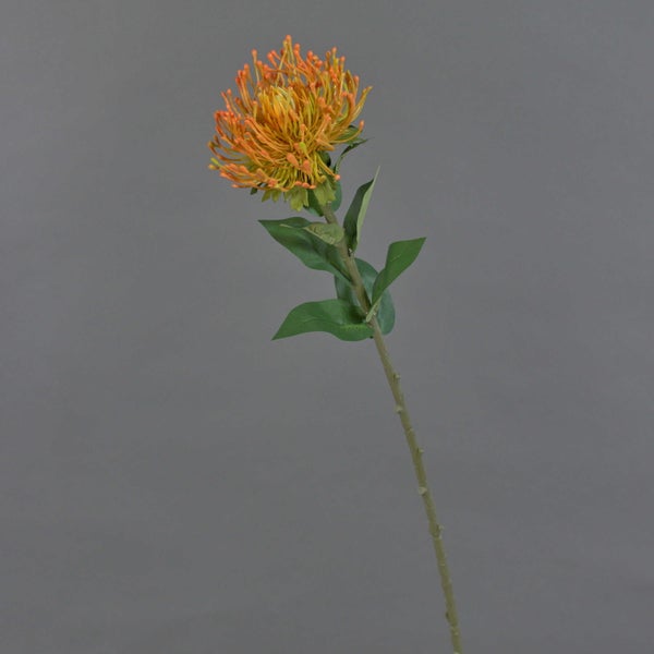 Künstliche Leucospermum Blume orange mit grünem Stiel und Blättern