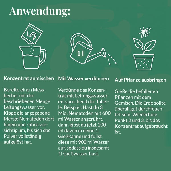 Starterset Trauermücken Adé: Nematoden und Gelbtafeln