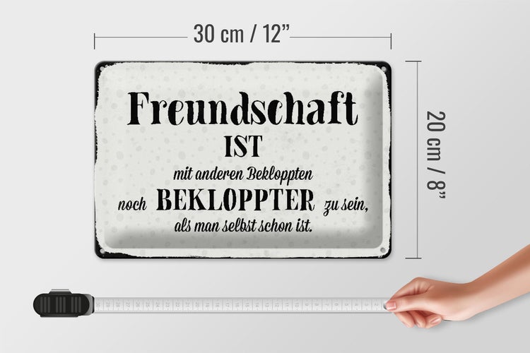 Blechschild Spruch 30x20cm Freundschaft ist mit anderen