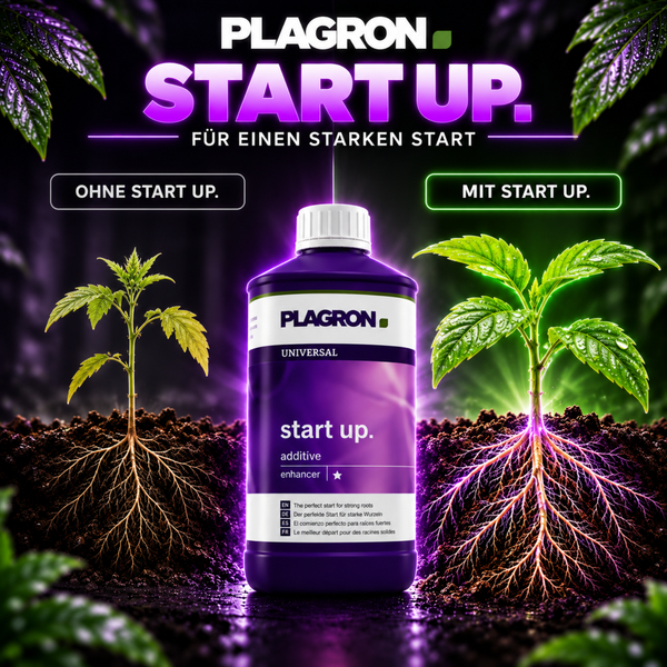 Plagron Start Up Wurzelstimulator zur Förderung eines starken Wurzelwachstums bei Jungpflanzen in einer Kunststoffflasche.