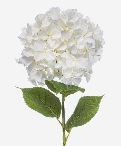 Detailaufnahme einer künstlichen Hortensie mit grünen Blättern und weißer Blüte.