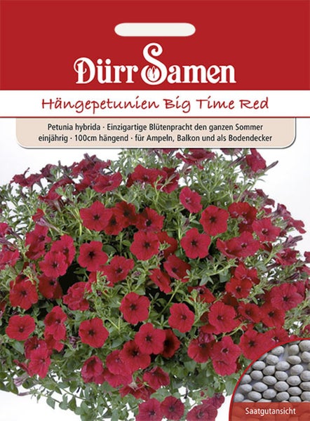 Samentüte Dürr Samen Hängepetunien Big Time Red mit Abbildung blühender roter Petunien und Saatgutansicht.