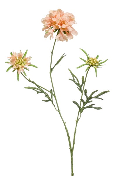 Künstliche Skabiose-Blüte mit pfirsichfarbenen Blütenblättern, grünen Blättern und Stiel zur Dekoration.