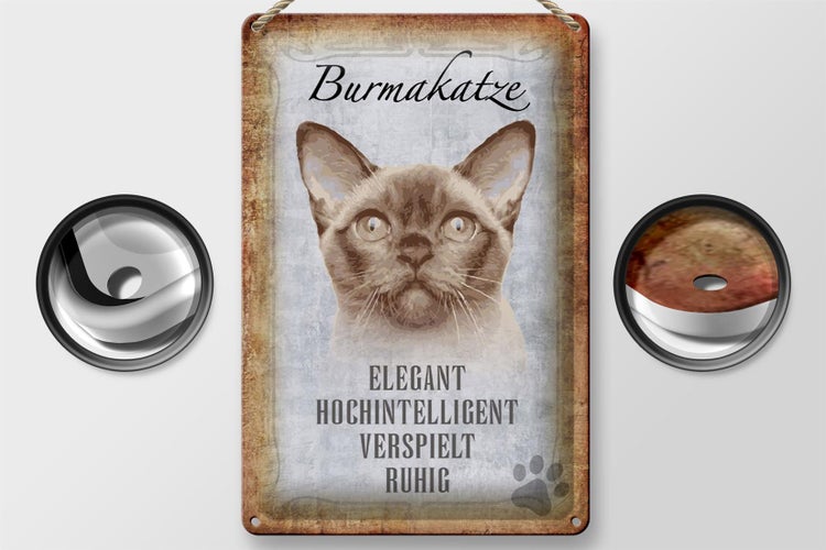 Blechschild Spruch 20x30cm Burmakatze Katze Schild