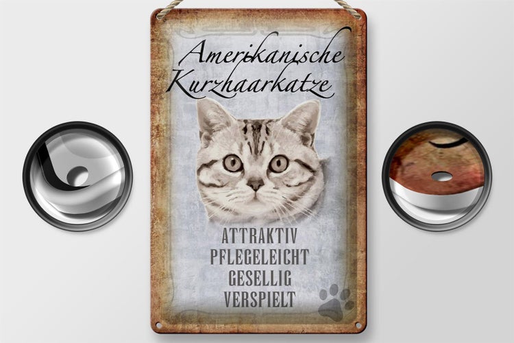 Blechschild Spruch 20x30cm Amerikanische Kurzhaarkatze