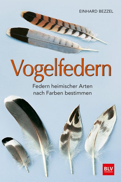 Vogelfedern Federn heimischer Arten nach Farben bestimmen