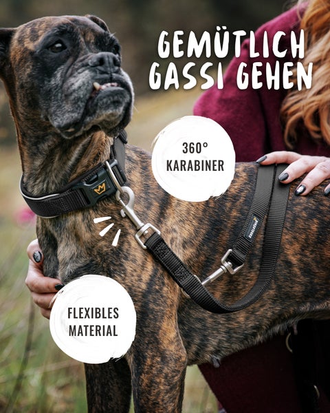 Hund mit schwarzem Halsband und Leine mit 360-Grad-Karabiner