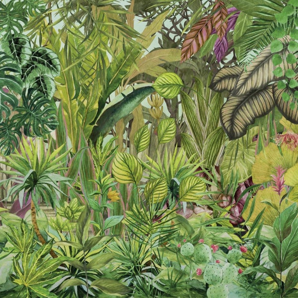 Dschungel-Illustration mit verschiedenen tropischen Pflanzen