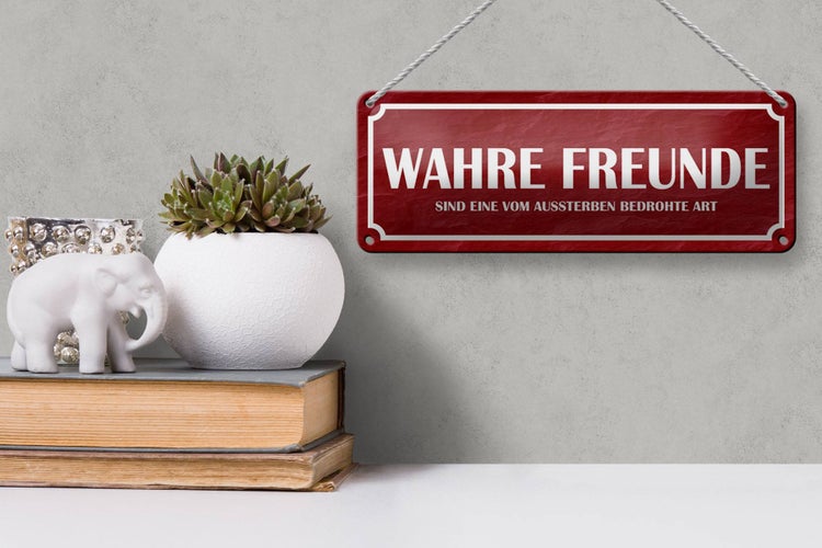 Blechschild Spruch 27x10cm wahre Freunde Dekoration