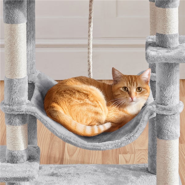Katze liegt in Hängematte eines Kratzbaums