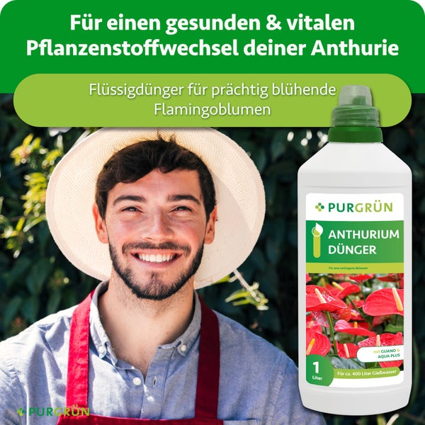 Eine Flasche Purgrün Anthurium Flüssigdünger mit einem Liter Inhalt neben einem lächelnden Gärtner mit Hut für eine vitale Pflanzenpflege.