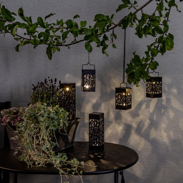 Szene mit Solarlaternen auf einem Tisch mit Pflanzen und einem Ast mit Blättern