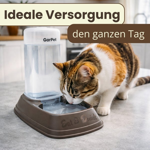 Eine dreifarbige Katze trinkt aus einem GarPet Wasserspender mit transparentem Behälter und braunem Sockel auf einer Arbeitsplatte in einer Küche.