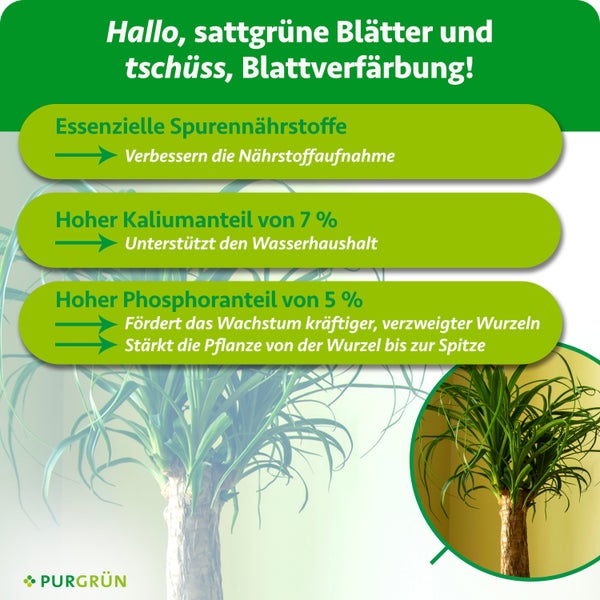 PURGRÜN Logo. Infografik zu Dünger: Essenzielle Spurennährstoffe, 7 Prozent Kalium für Wasserhaushalt und 5 Prozent Phosphor für Wurzelwachstum.