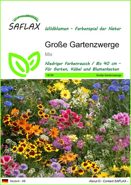 SAFLAX  - Große Gartenzwerge - Mix - 1000 Samen