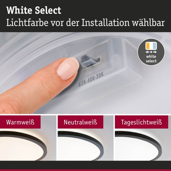 Lichtfarbe vor der Installation wählbar: Schalter für warmweißes, neutralweißes und tageslichtweißes Licht