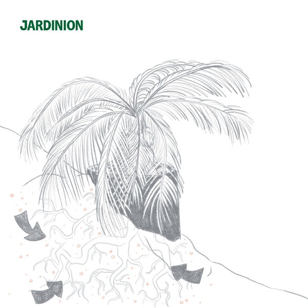 Illustration einer Pflanze im Topf mit Darstellung von Wurzelwachstum im Boden und JARDINION Logo.