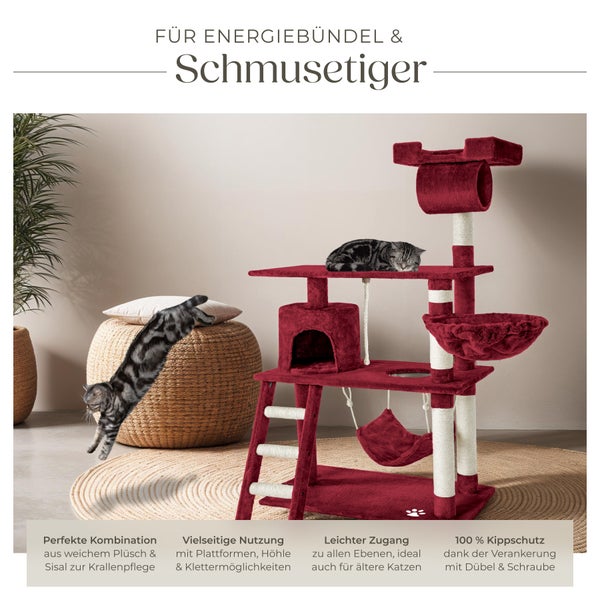 Katzenkratzbaum mit Plattformen, Höhle, Leiter und Hängematte im Wohnzimmer mit zwei Katzen